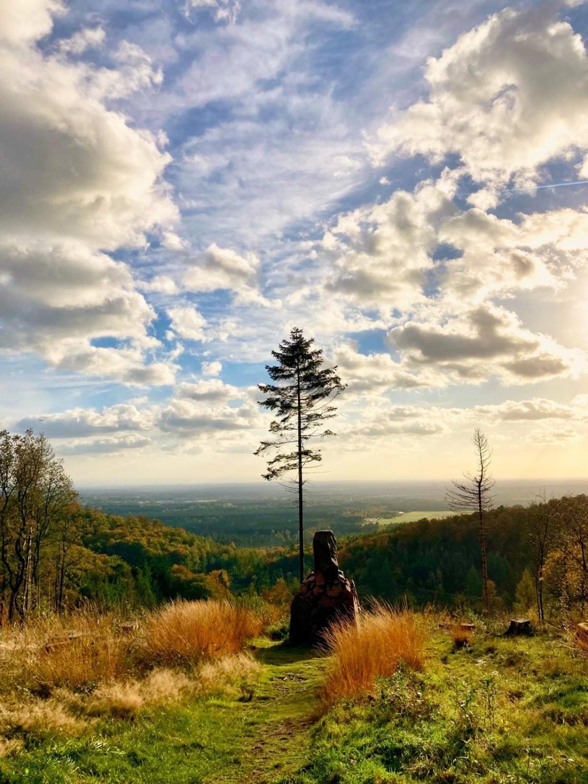 Berggasthof Toensblick Oerlinghausen Eksteriør billede